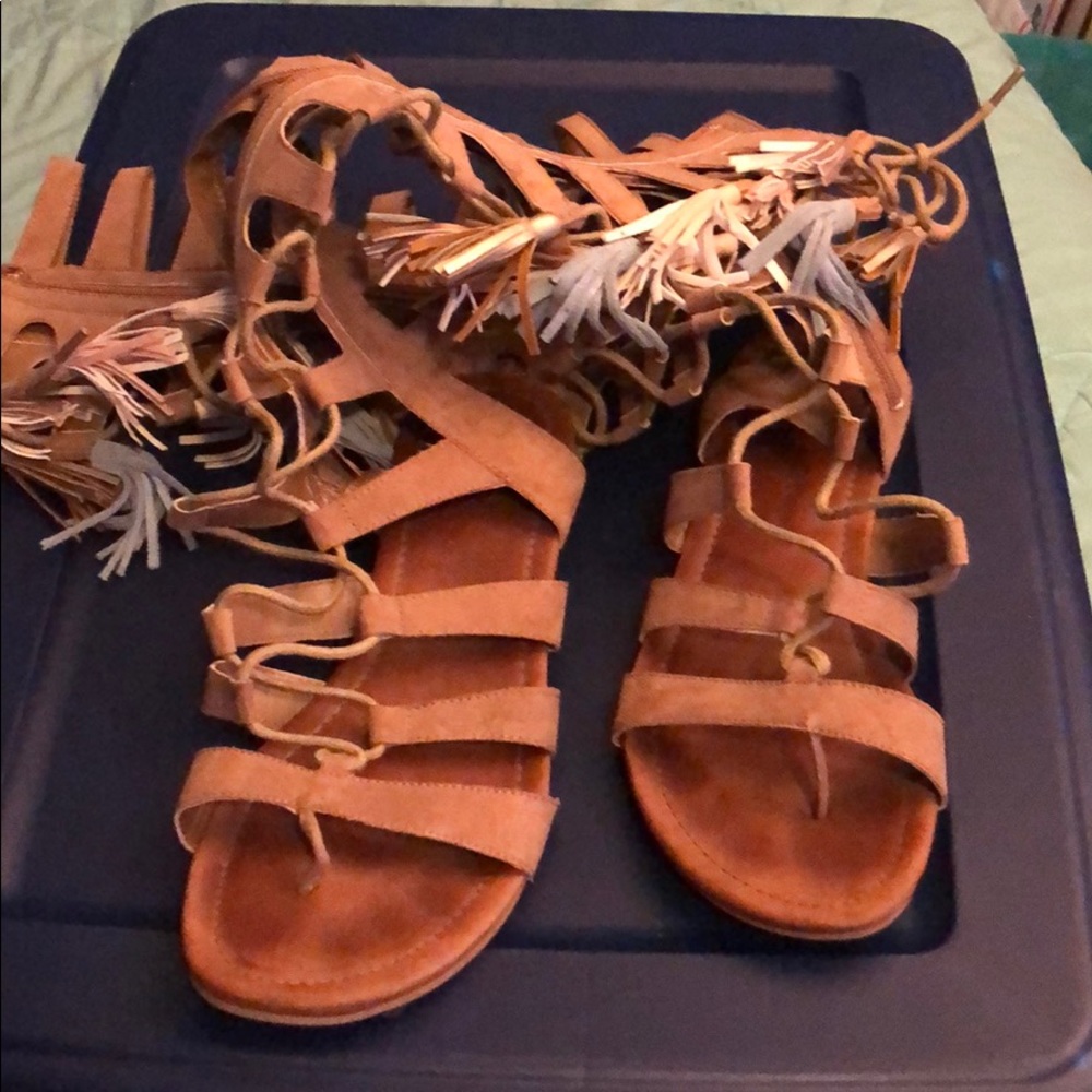Gladiators